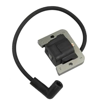 Amazon.com: PARTSRUN 32-707-01-s 25-707-03-s Ignition Module